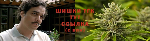 амф Вязьма