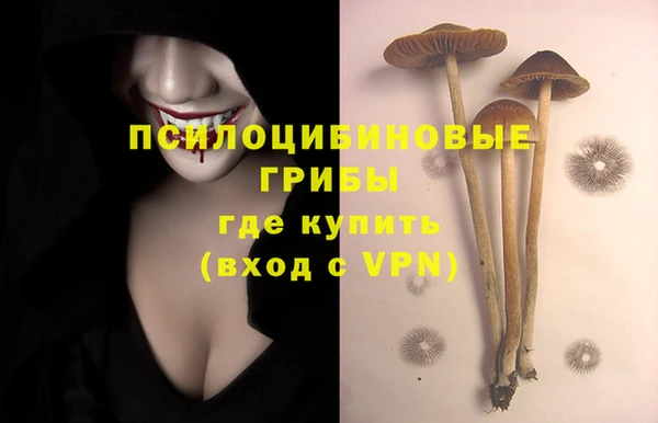 хмурый Вязники