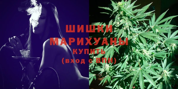 амф Вязьма