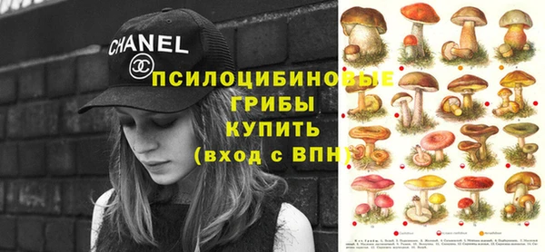 амф Вязьма